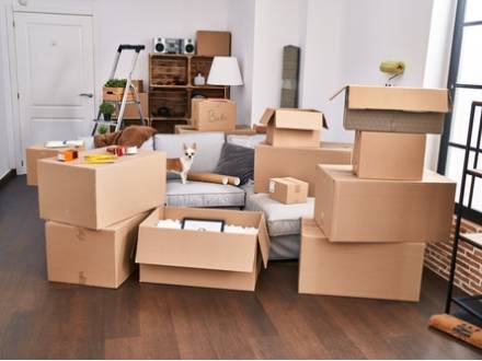 Cook County, IL family lawyer